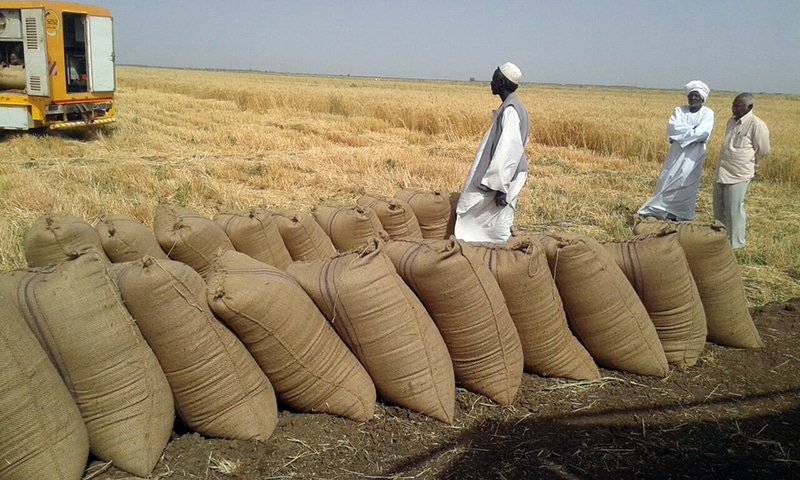 Sudanese agricultural farm and crop sourcing