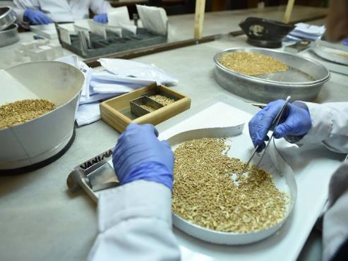 Quality inspection of agricultural grains
